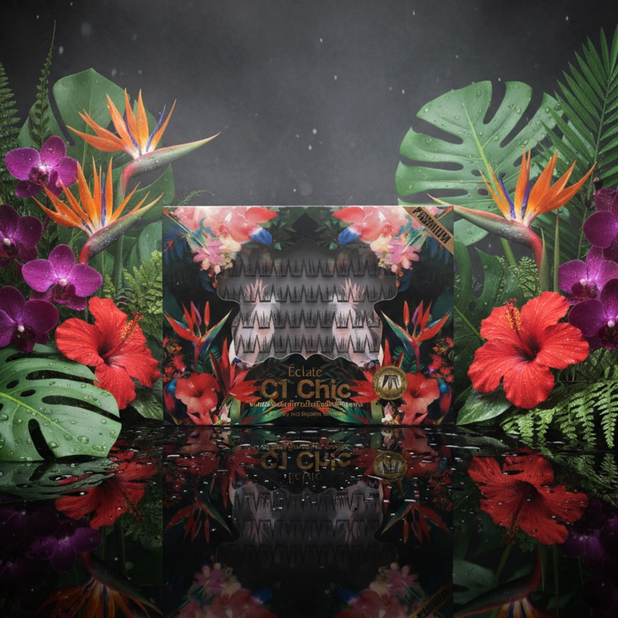 Collections – Éclate